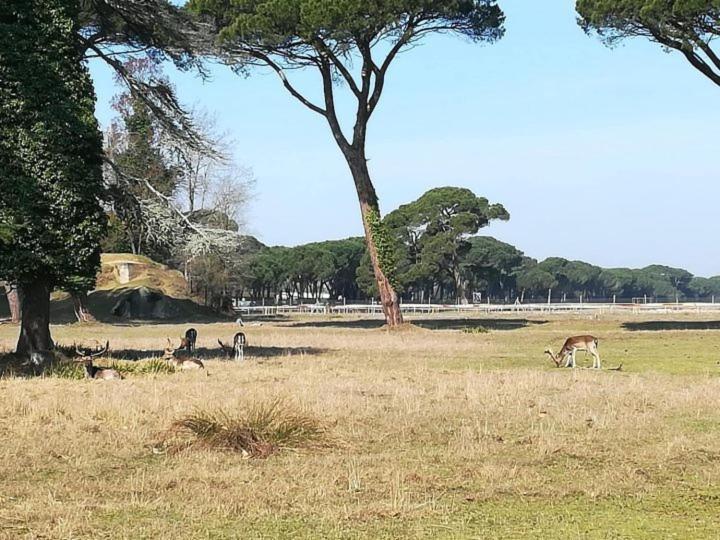 I Levrieri Hotel Torre del Lago Puccini Kültér fotó